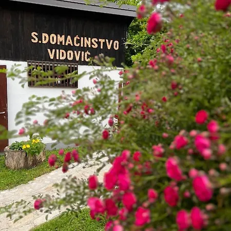 Smjestaj Vidovic, Slapovi Krupe Banja Luka